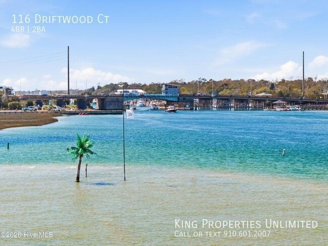 Photo - 116 Driftwood Ct