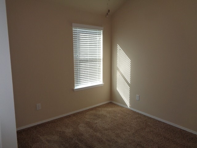 Photo - 20211 Ray Falls Dr