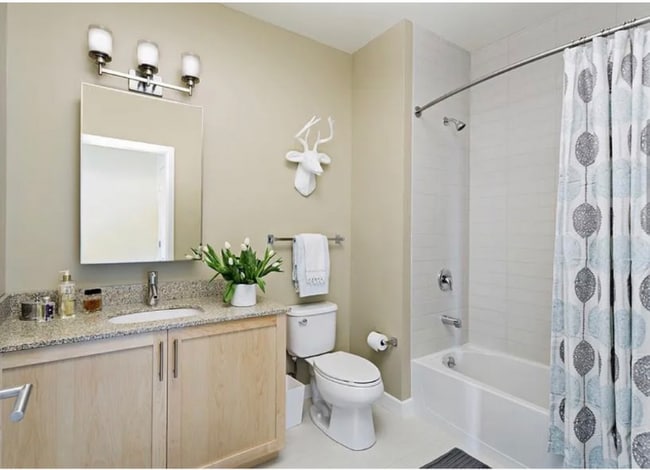 Photo - 411 D St Unit S1