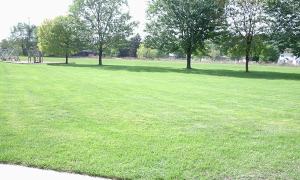 Washington Place Apartments