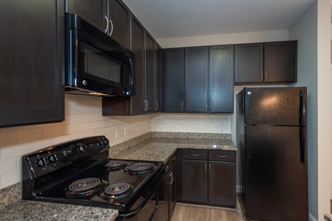 Photo - Red Knot at Edinburgh