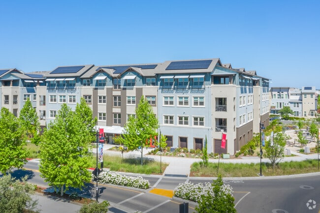 Photo - Gala At The Cannery