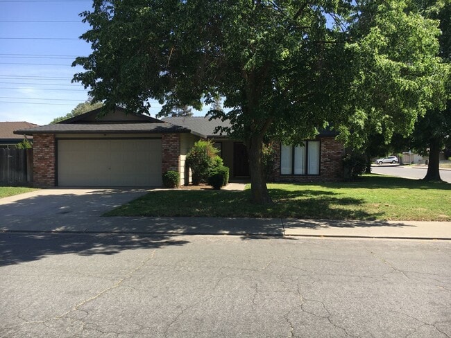 Building Photo - 952 Mango Dr