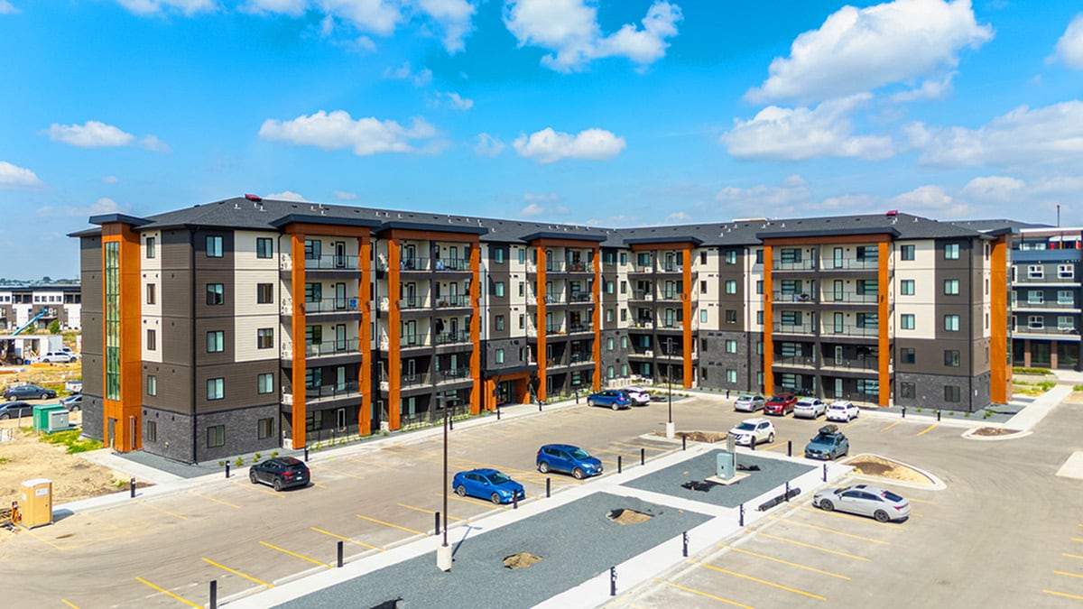 The Boardwalk - The Boardwalk