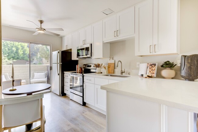 Photo - Terra Camarillo