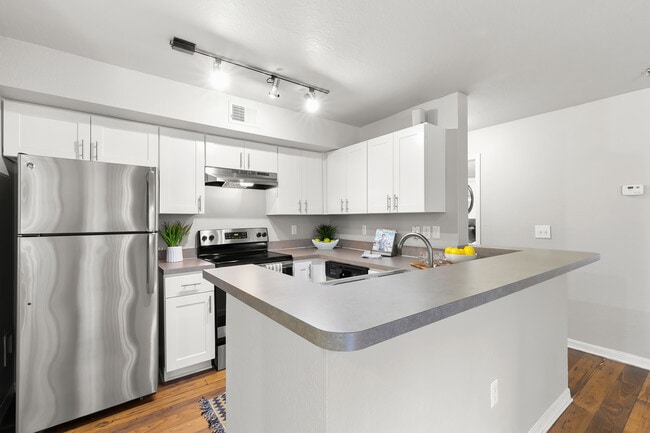 Photo - The Falls at New Tampa