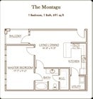 The Montagu