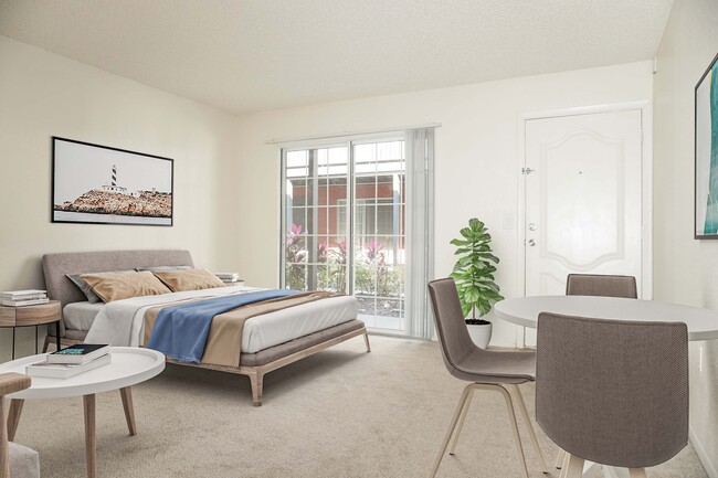 Photo - Coconut Palms