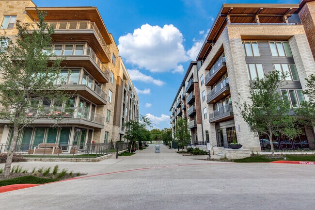 Photo - Cedar at the Branch