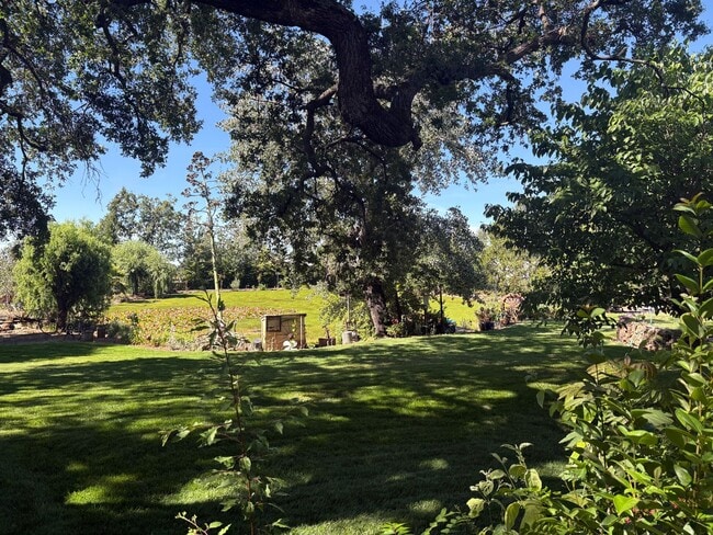 Photo - 5703 Chapel Dr