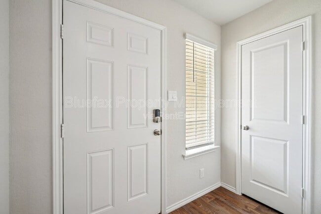 Photo - 15419 Puffins