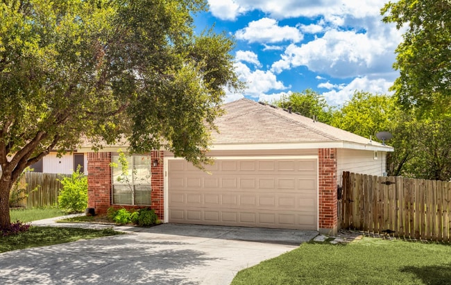 Photo - 8342 Shooting Quail