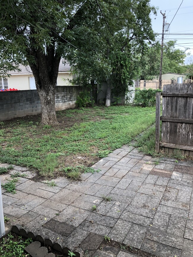 Fenced in backyard with Pecan tree. - 1615 Kenwood Casa