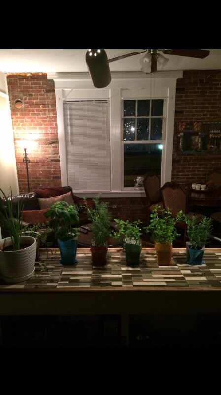 Photo - 524 23rd St Unidad 5