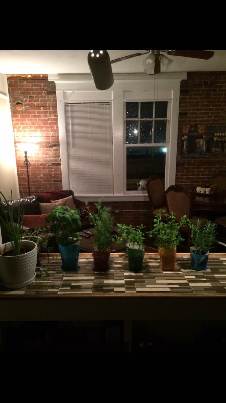 Building Photo - 524 23rd St Unit 5