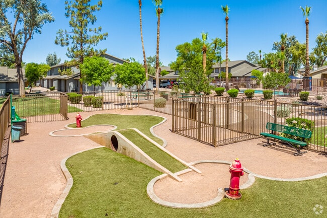 DOG PARK