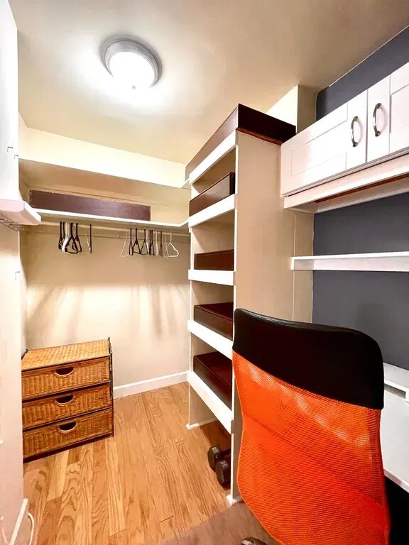 Walk-in Closet - 1121 Arlington Blvd Unit RPN-914