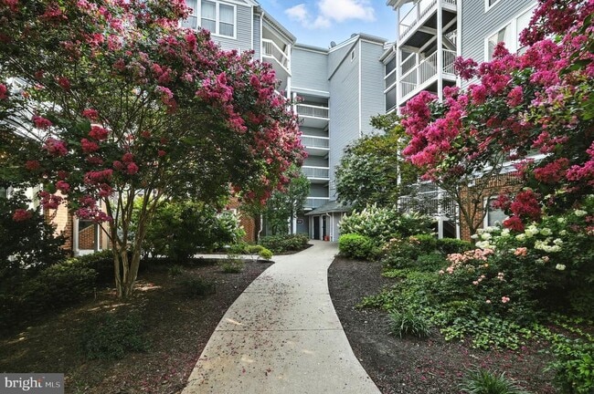 Building Photo - 3175 Summit Square Dr Unit 5-C11 Rental