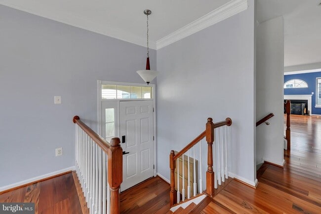 42704 Sandman Terrace