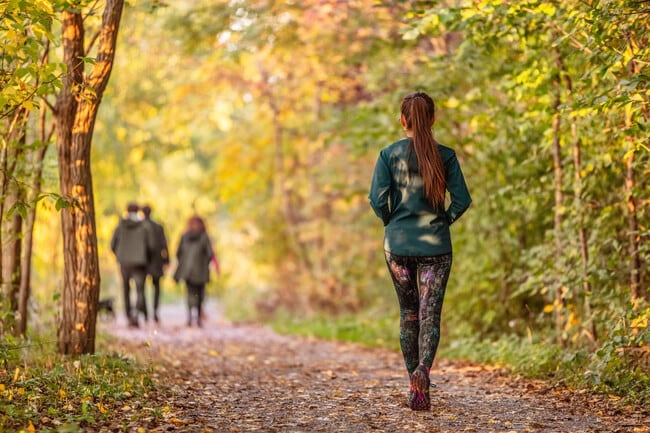 Walking paths around Diane Maine Park right accross the street