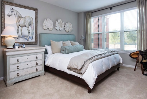 Photo - Walton Bluegrass