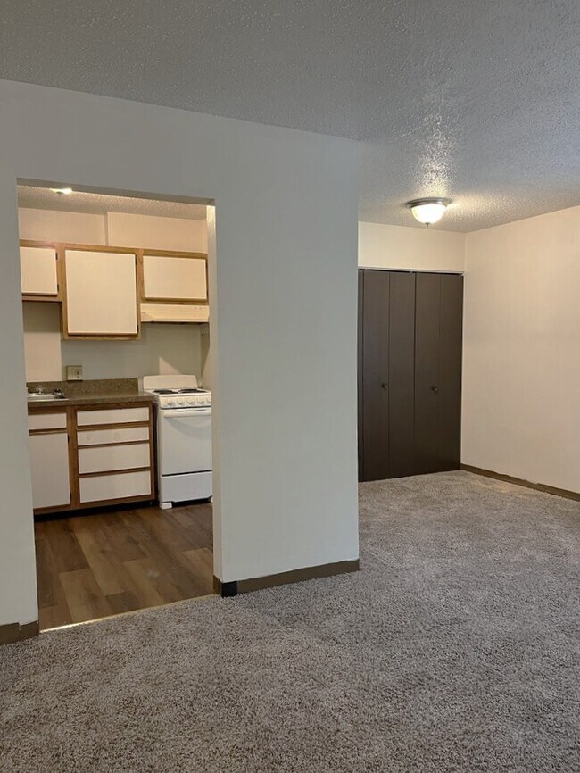 Photo - Piney Gardens