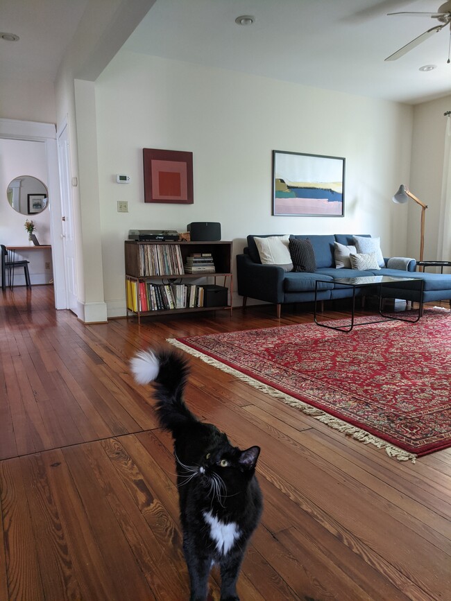 living room - 700 Hinton Ave Apartments Unit B