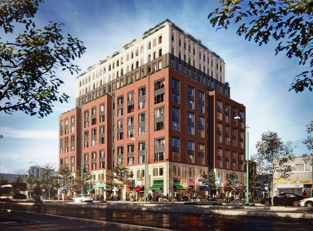 The Darcy - The Darcy