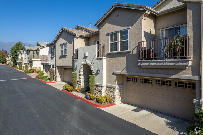 Photo - Brighton at Terra Vista