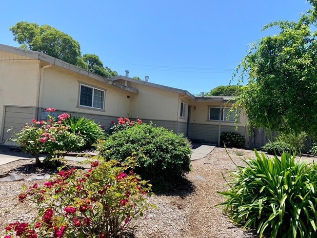 Building Photo - Cosigners okay =)  4 Large Bedrooms and 2 Full Baths ~ Small Pet Negotiable