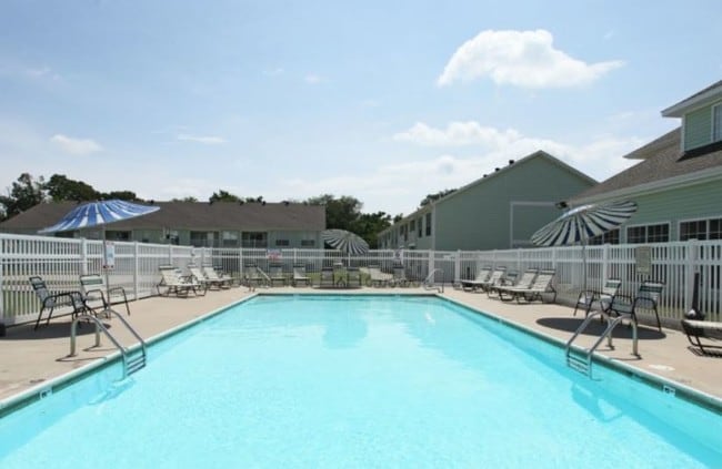 Photo - Woodland's Edge