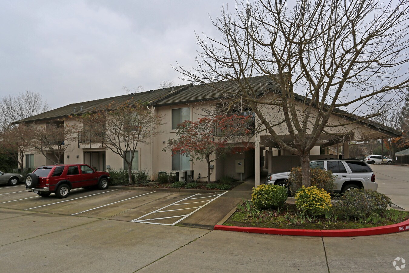 Photo - Cardinal Oaks