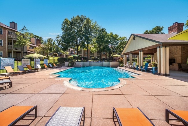 Sparkling Swimming Pool