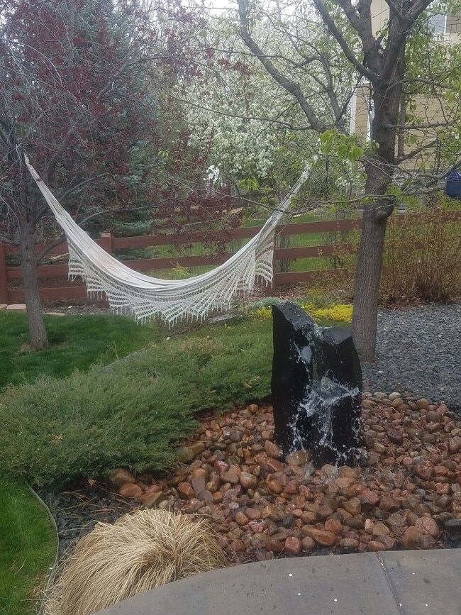 Backyard - 16909 W 63rd Ln