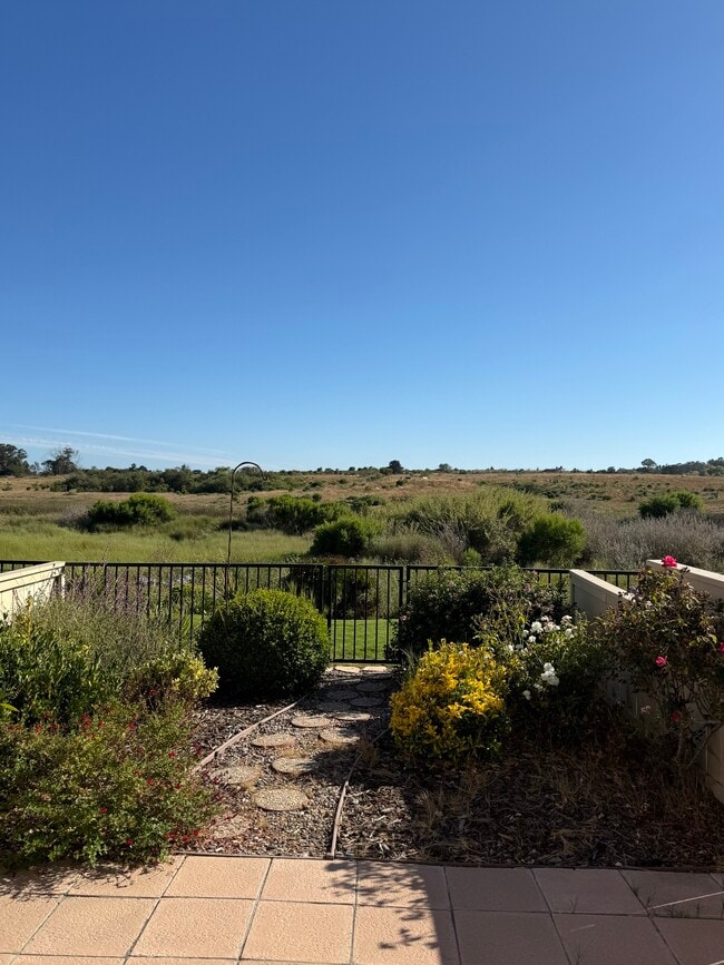Backyard View - 7061 Marymount Way Rental