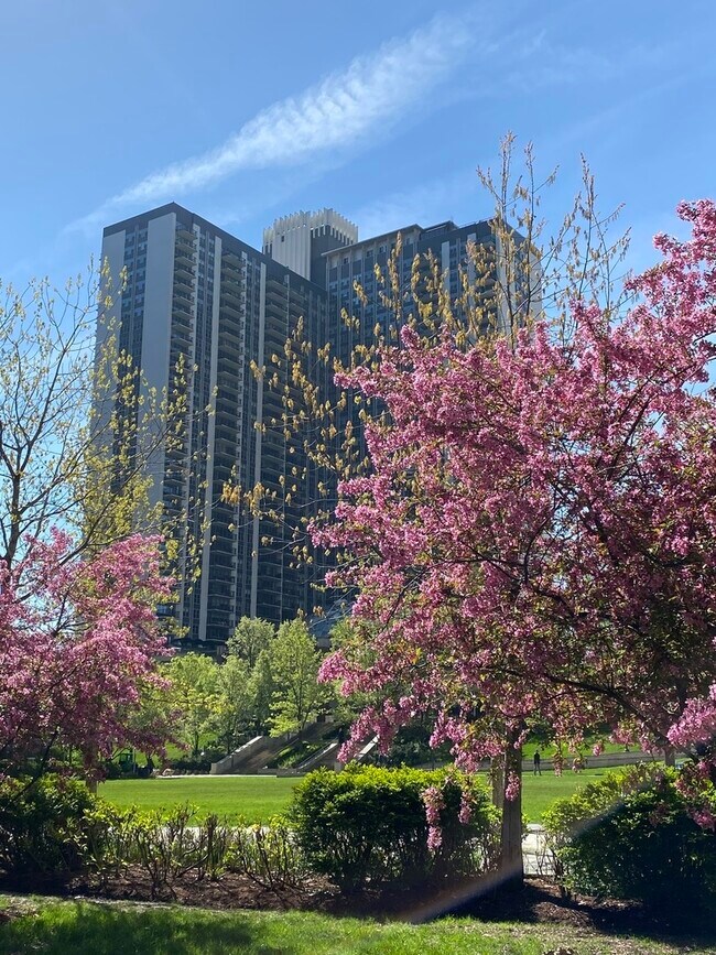 Photo - 400 E Randolph St Condo Unit 3726
