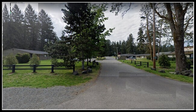 Photo - Rainier Terrace