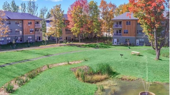 Wetland view off balcony