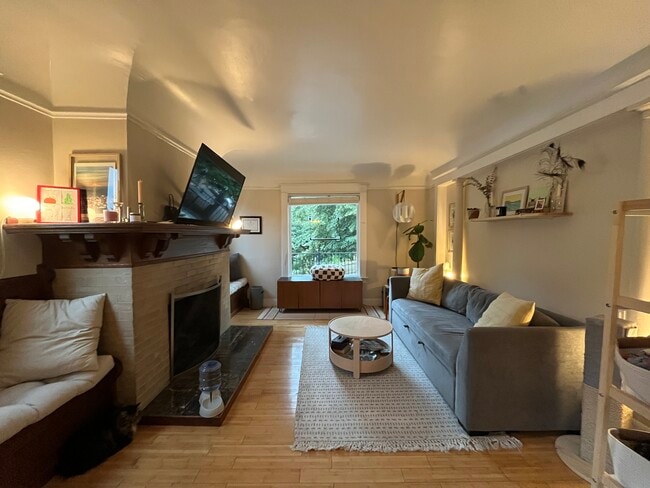 Gas fireplace