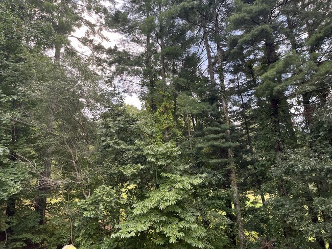 Photo - 44 Beach Crest Rise