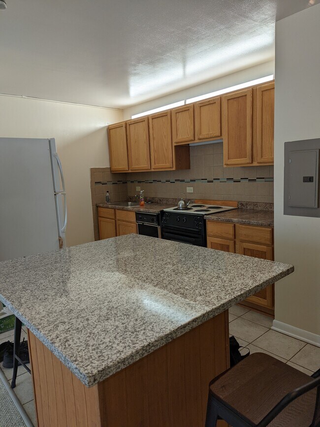 Photo - 3930 N Pine Grove Ave Unidad #1704