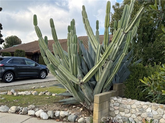 Photo - 346 Juilliard Dr