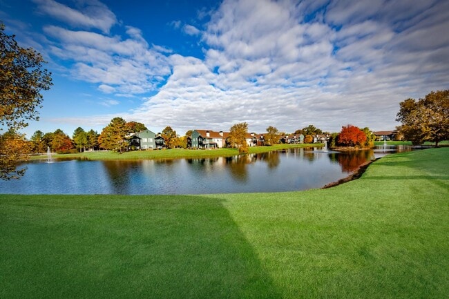 Willows of Coventry