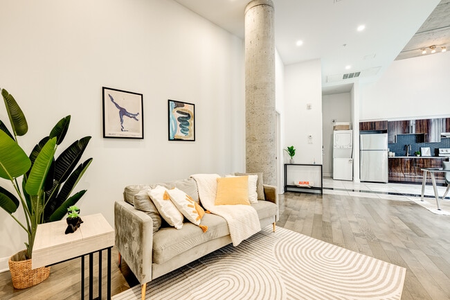 Photo - ALMA Latin Quartier