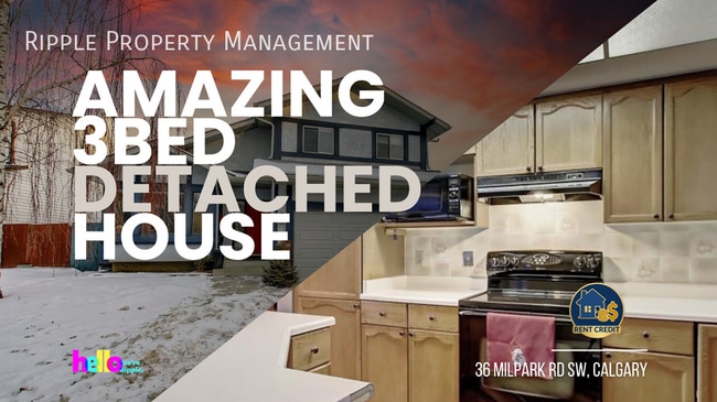 Building Photo - SPACIOUS 3-BED, 2.5-BATH FAMILY HOME | PRIVATE TREED BACKYARD | PRIME MILLRISE LOCATION