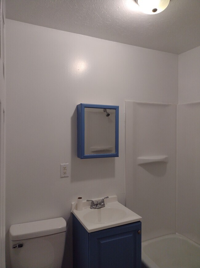 Bathroom - 1213 E Main St Unit 2