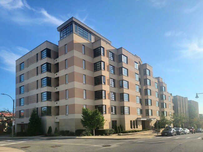 Building Photo - 1650 Commonwealth Ave Unit 304