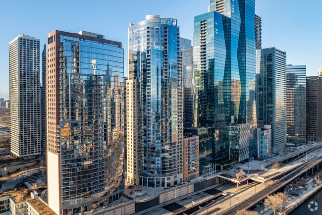 Primary - The Regatta