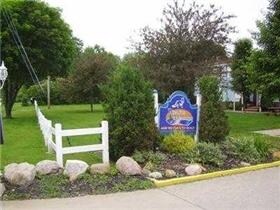 Photo - The Blue Fox