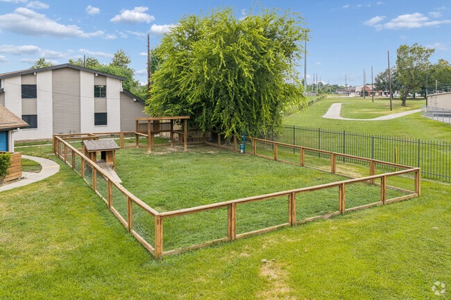 Dog Park
